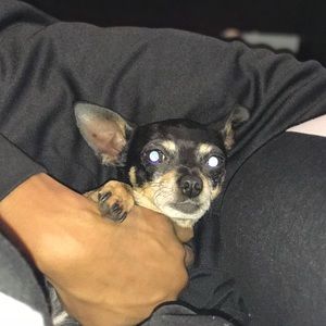 Meet your Posher, Vera